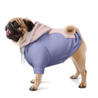 Powder Kiss Hund Kapuzenpullover  Hund Kapuzenpullover TwinTails