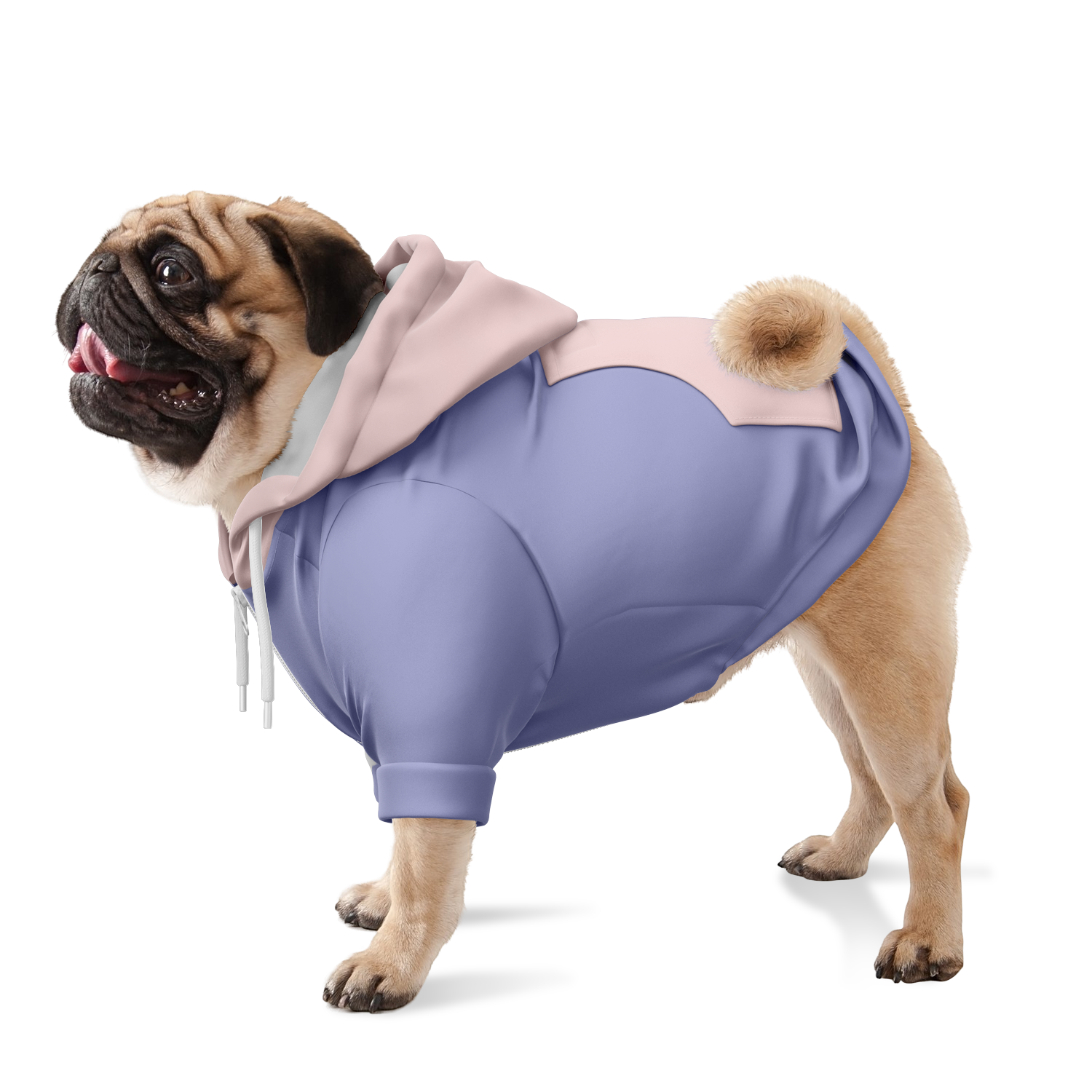 Powder Kiss Hund Kapuzenpullover  Hund Kapuzenpullover TwinTails