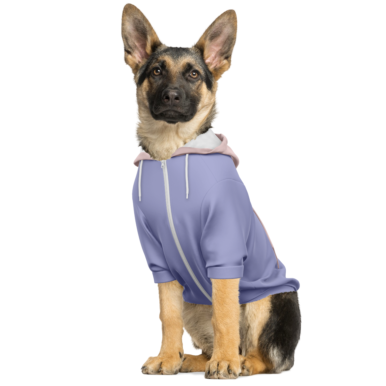 Powder Kiss Hund Kapuzenpullover  Hund Kapuzenpullover TwinTails