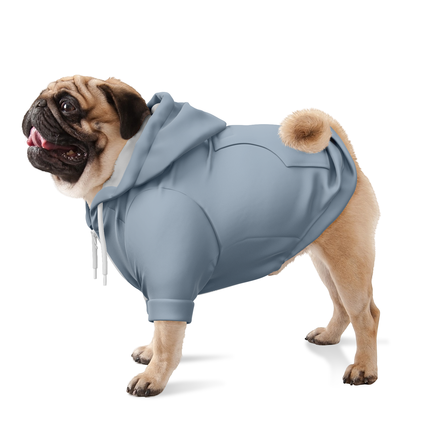 Dusty Blue Hund Kapuzenpullover  Hund Kapuzenpullover TwinTails