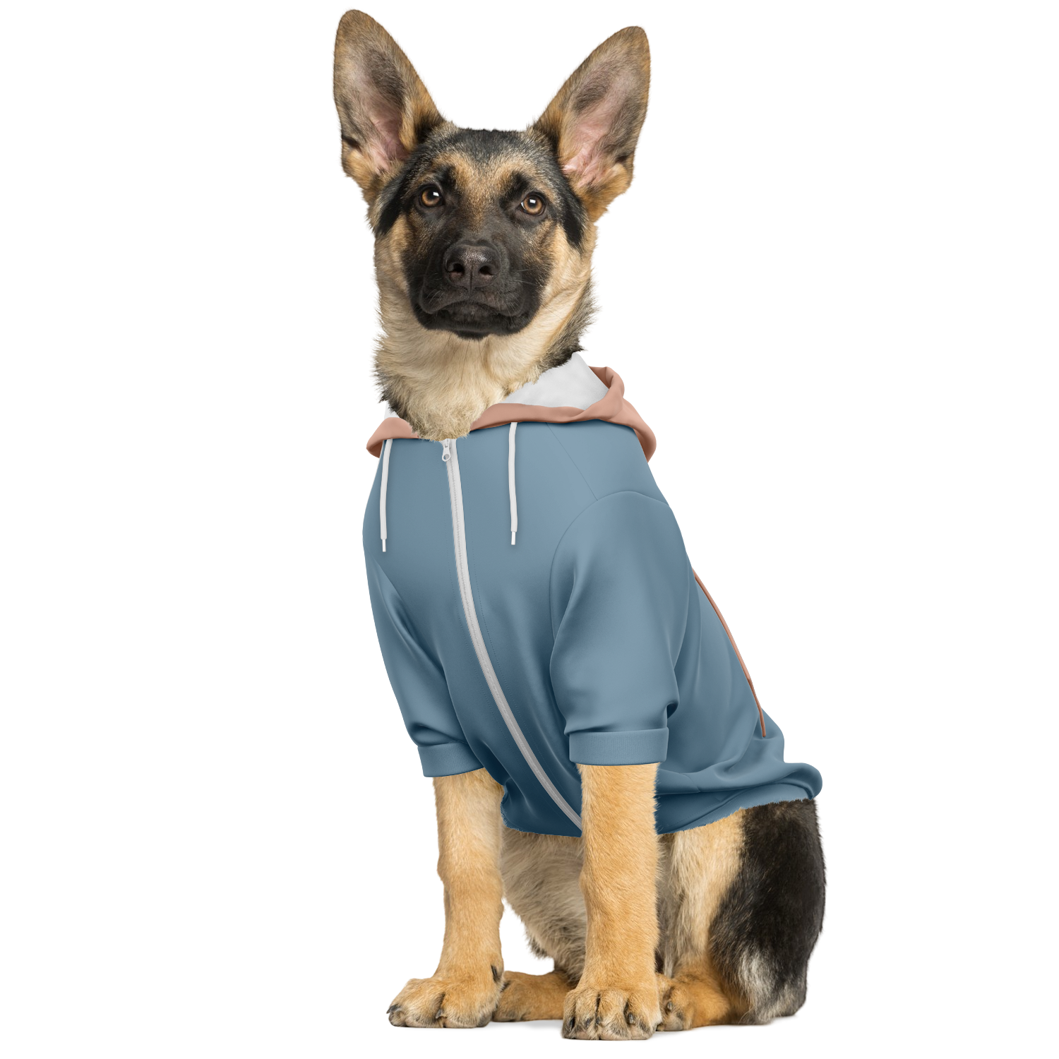 Peach Denim Hund Kapuzenpullover  Hund Kapuzenpullover TwinTails