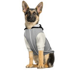 Minimal Luxe Hund Kapuzenpullover  Minimal Luxe Hund Kapuzenpullover TwinTails