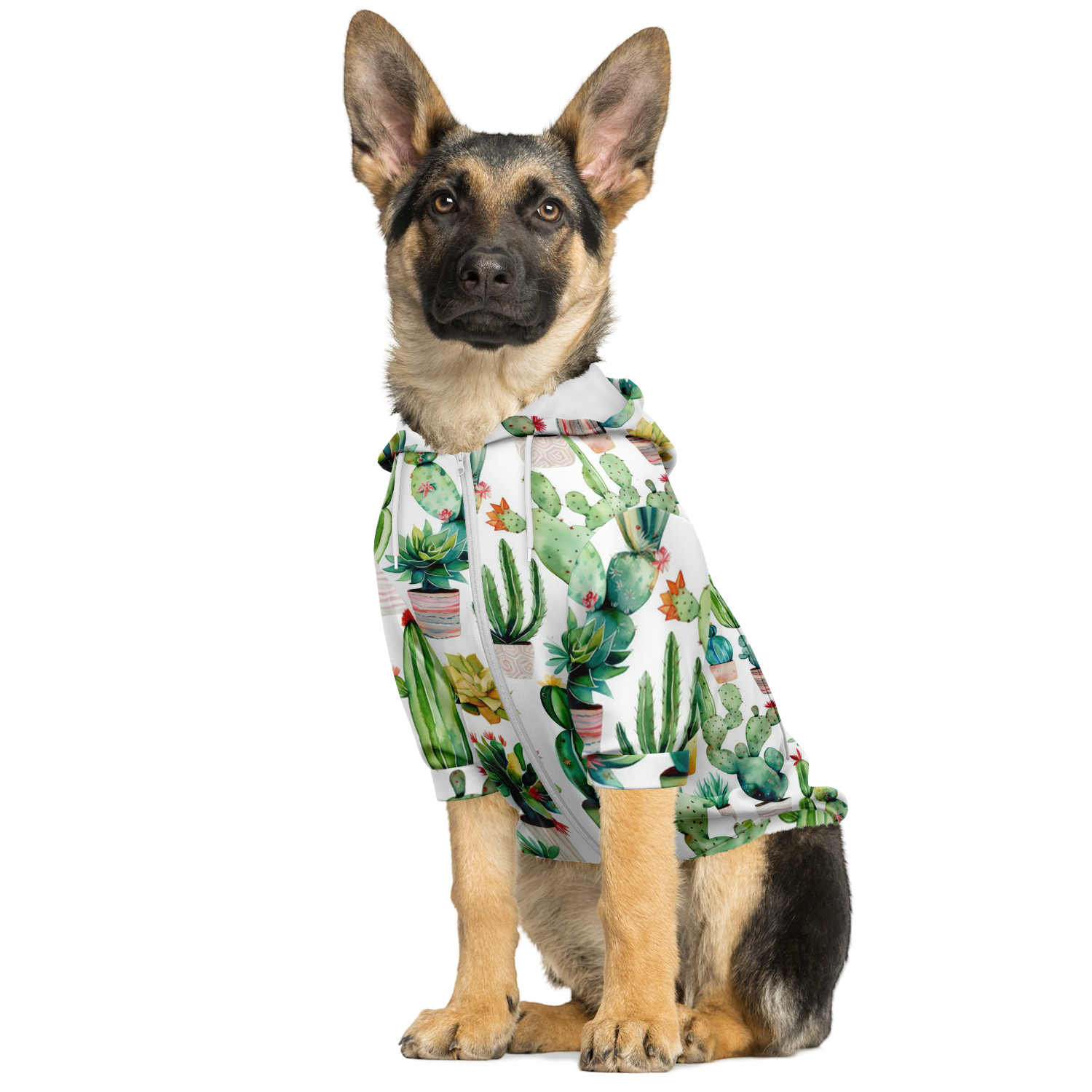 Kaktus Muster Hund Kapuzenpullover  Hund Kapuzenpullover TwinTails