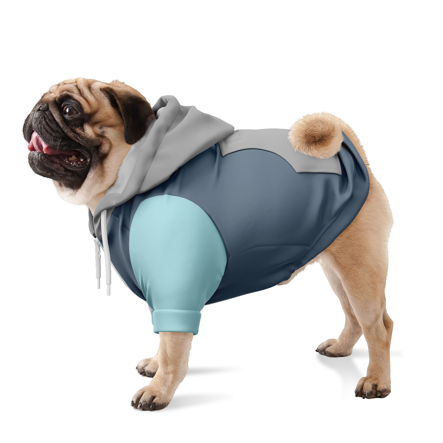 Stormy Ice Hund Kapuzenpullover  Stormy Ice Hund Kapuzenpullover TwinTails