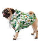 Kaktus Muster Mensch-Hund Kapuzenpullover Set  Mensch-Hund Kapuzenpullover Set TwinTails