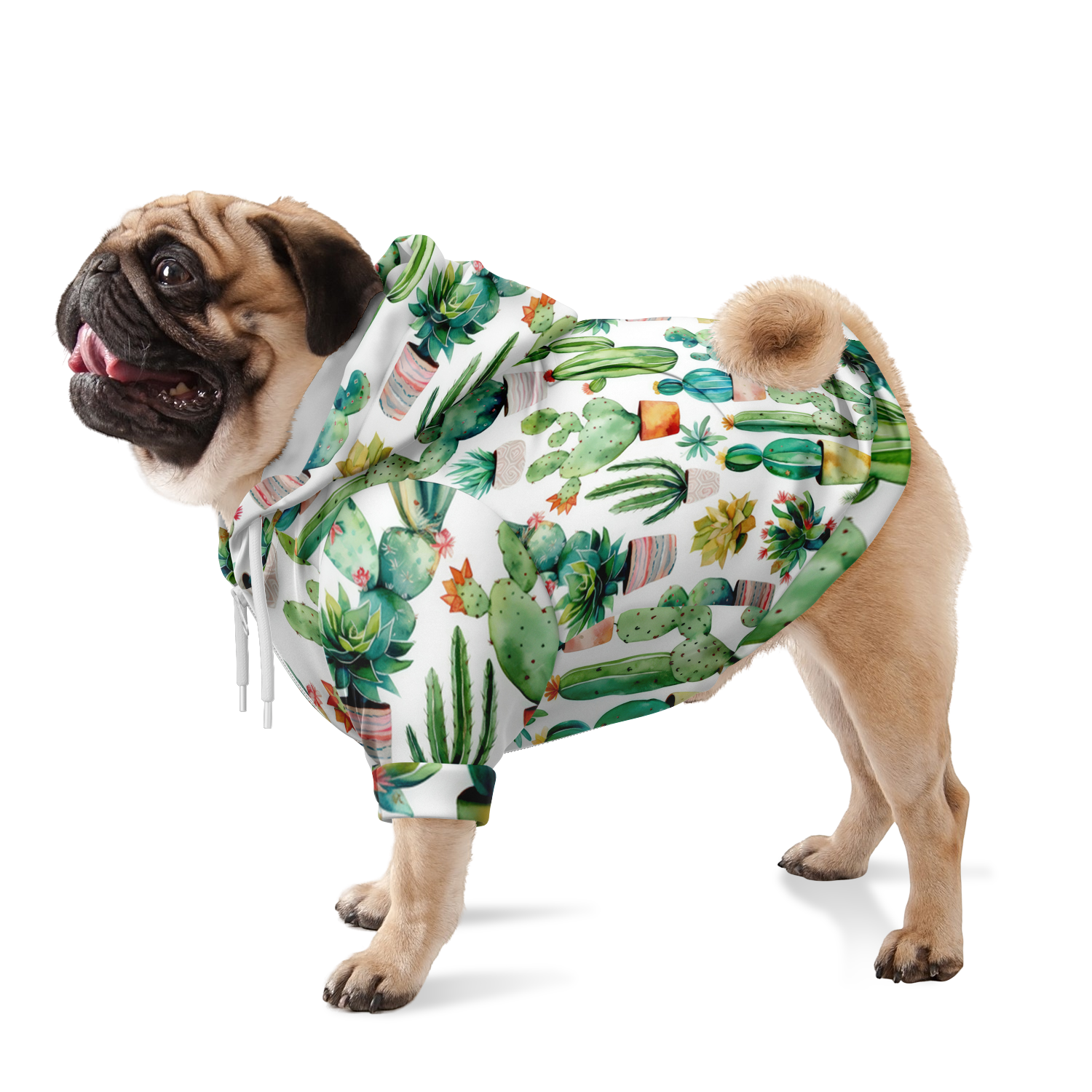 Kaktus Muster Mensch-Hund Kapuzenpullover Set  Mensch-Hund Kapuzenpullover Set TwinTails
