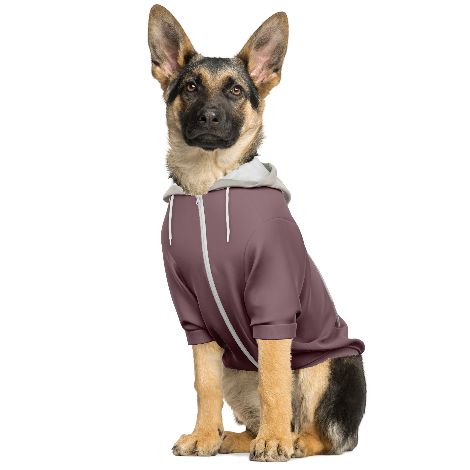 Vintage Shore Hund Kapuzenpullover  Hund Kapuzenpullover TwinTails