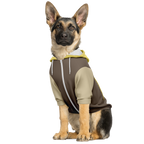 Coffee Break Mensch-Hund Kapuzenpullover Set  Coffee Break Mensch-Hund Kapuzenpullover Set TwinTails