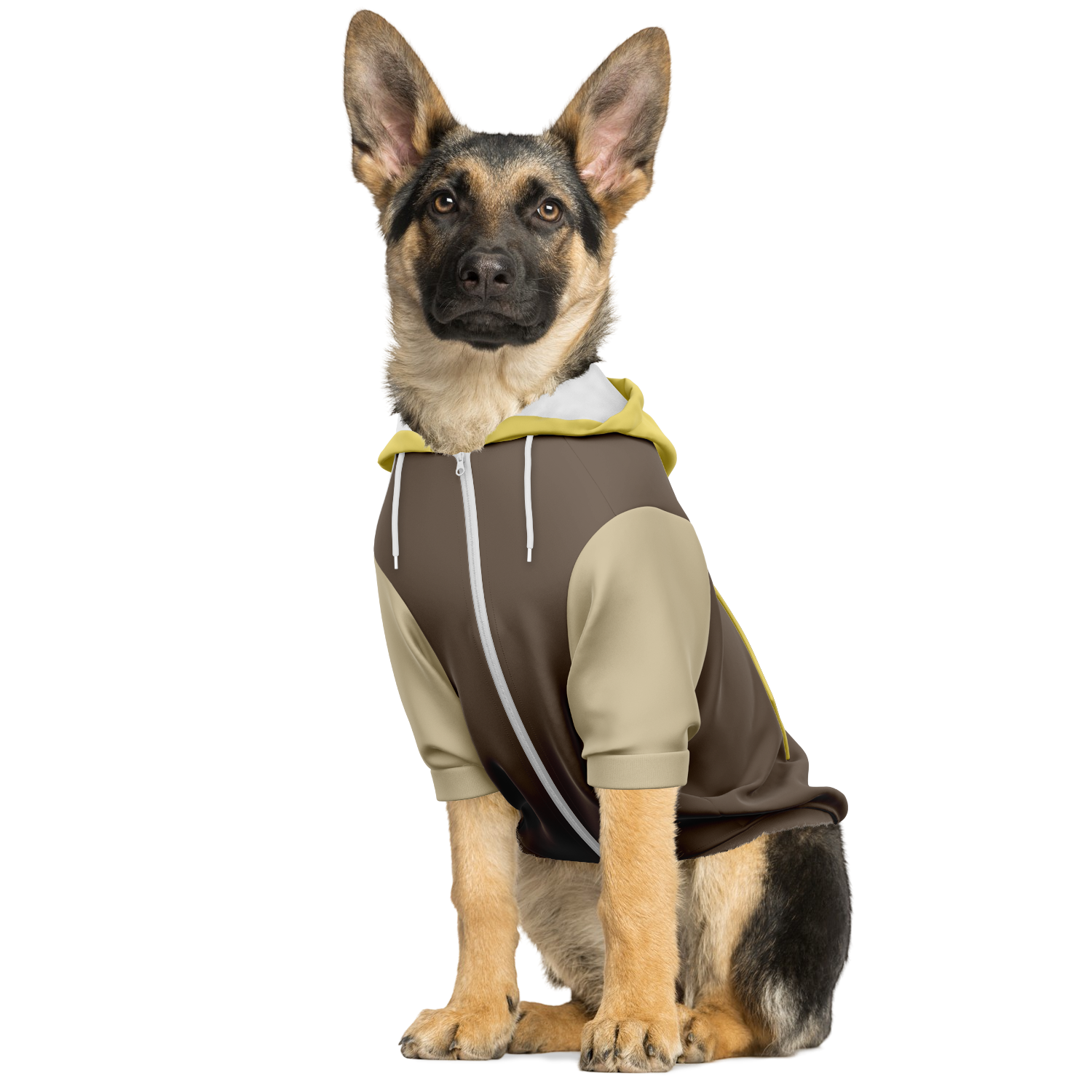 Coffee Break Mensch-Hund Kapuzenpullover Set  Coffee Break Mensch-Hund Kapuzenpullover Set TwinTails