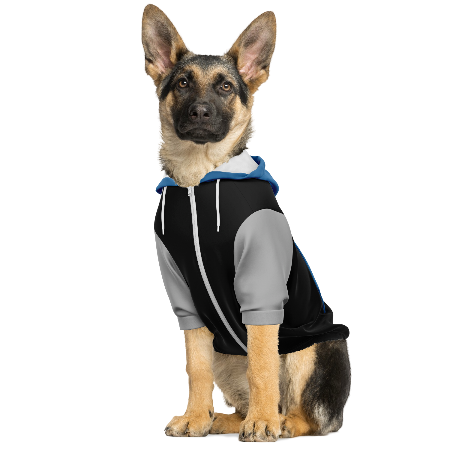 Urban Monochrome Hund Kapuzenpullover  Urban Monochrome Hund Kapuzenpullover TwinTails