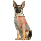 Samt Orange Hund Kapuzenpullover  Athletic Dog Zip-Up Hoodie - AOP TwinTails