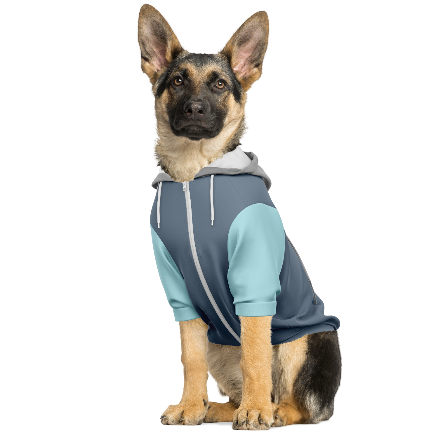 Stormy Ice Mensch-Hund Kapuzenpullover Set  Stormy Ice Mensch-Hund Kapuzenpullover Set TwinTails