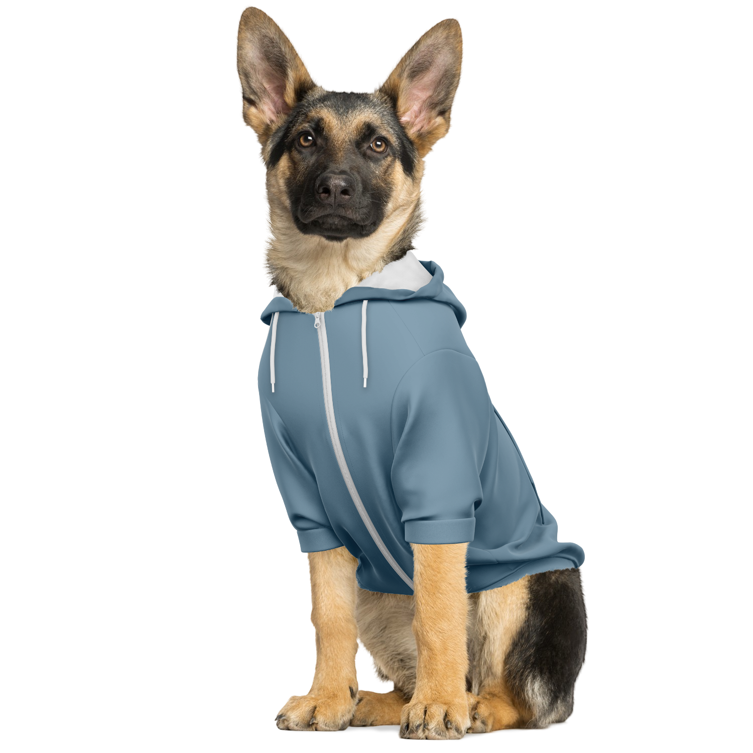 Washed Denim Hund Kapuzenpullover  Hund Kapuzenpullover TwinTails