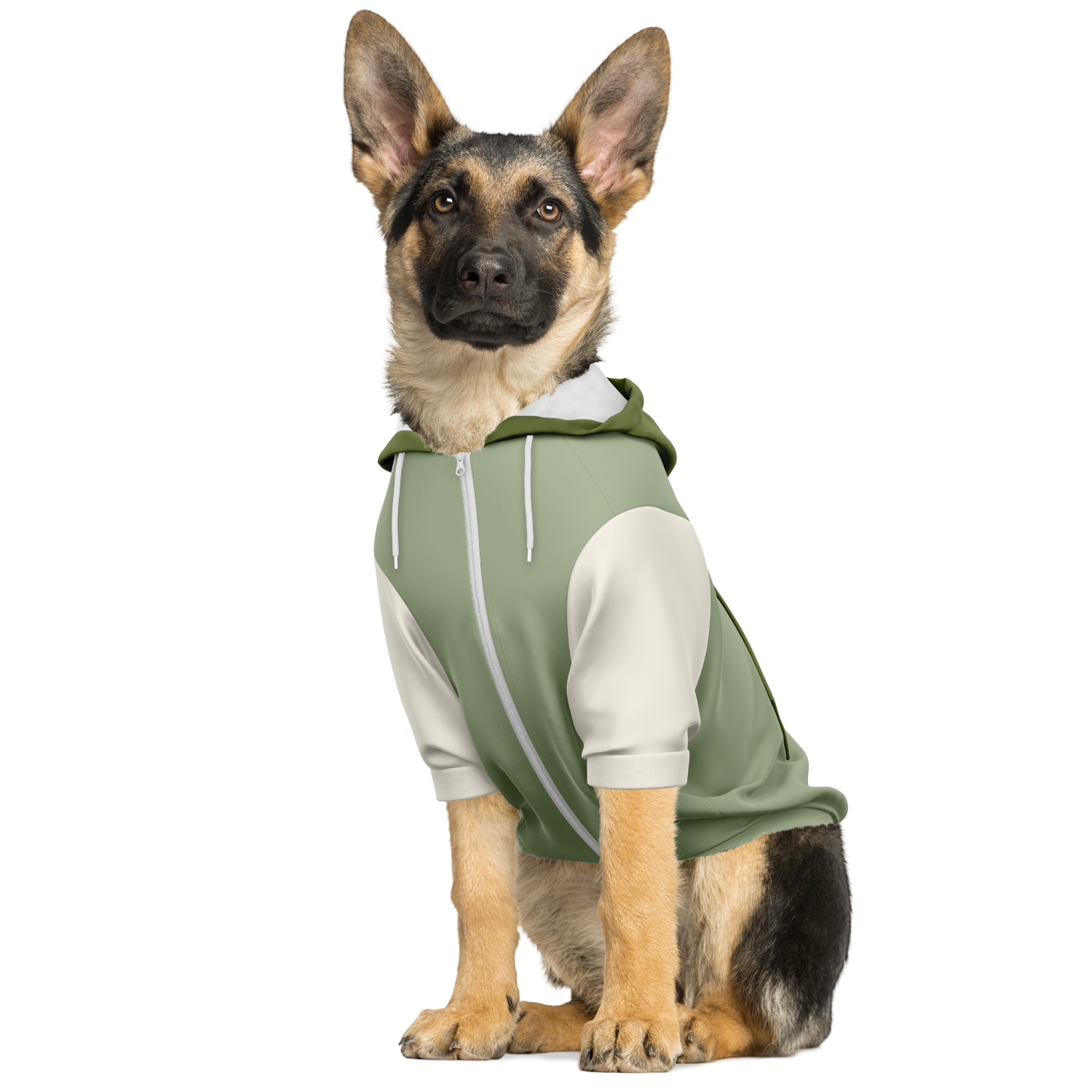 Nature Core Clean Hund Kapuzenpullover  Nature Core Clean Hund Kapuzenpullover TwinTails