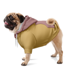 Retro Bloom Hund Kapuzenpullover  Hund Kapuzenpullover TwinTails