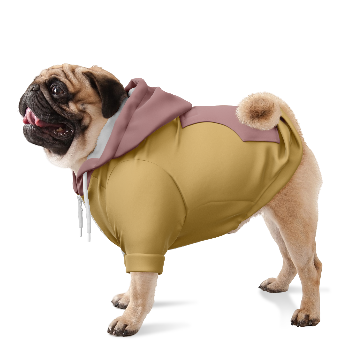 Retro Bloom Hund Kapuzenpullover  Hund Kapuzenpullover TwinTails