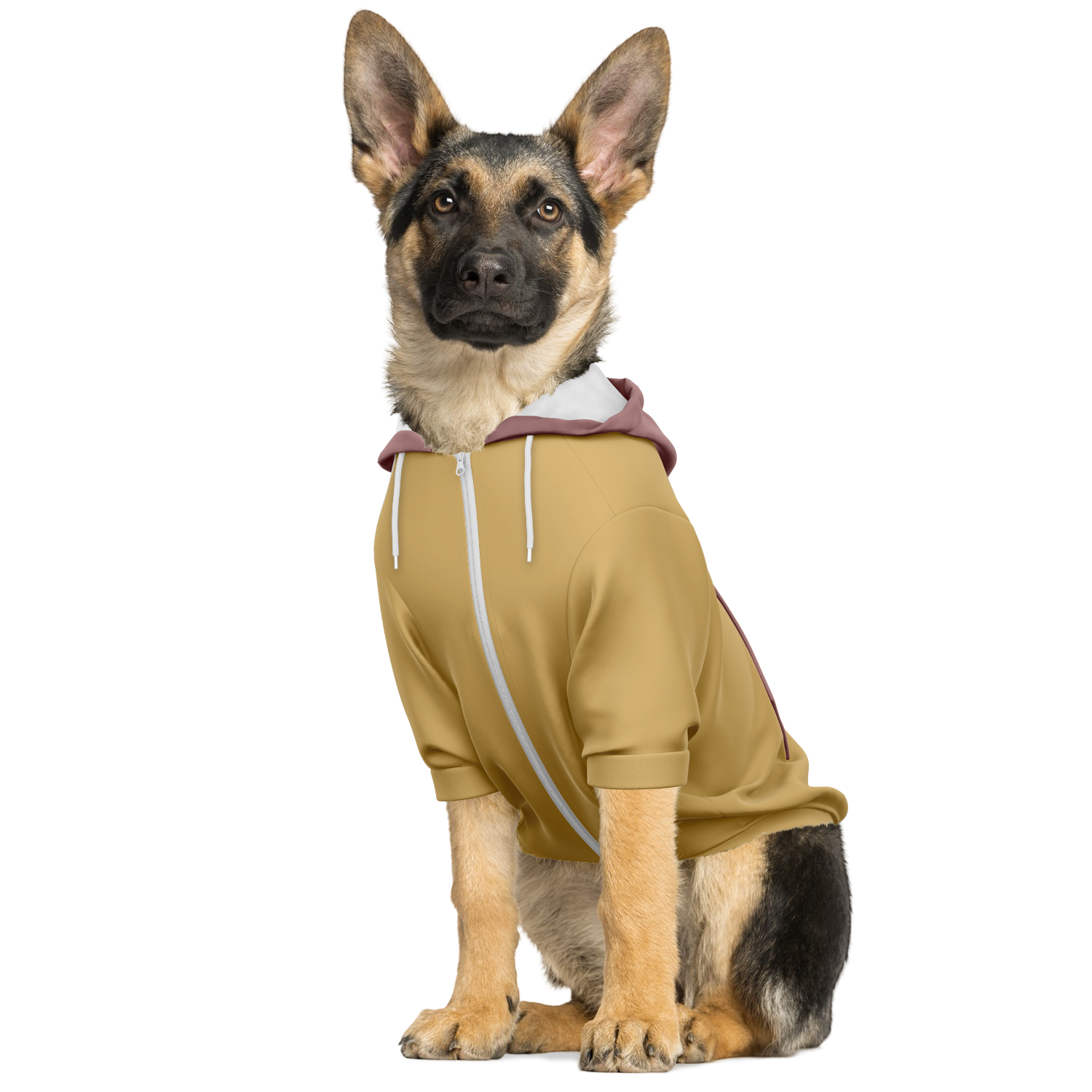 Retro Bloom Hund Kapuzenpullover  Hund Kapuzenpullover TwinTails