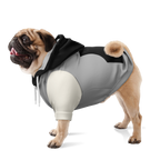 Minimal Luxe Hund Kapuzenpullover  Minimal Luxe Hund Kapuzenpullover TwinTails