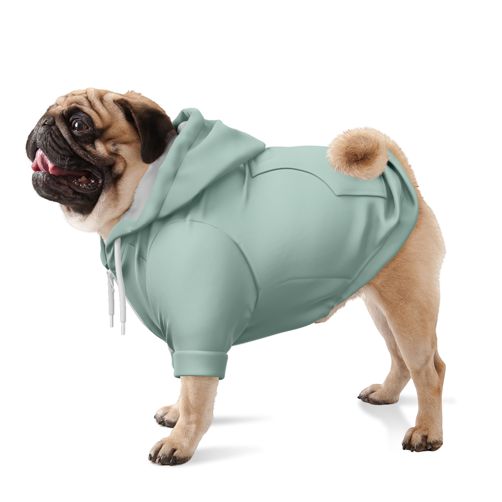 Dusty Mint Hund Kapuzenpullover  Hund Kapuzenpullover TwinTails