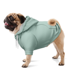 Dusty Mint Hund Kapuzenpullover  Hund Kapuzenpullover TwinTails