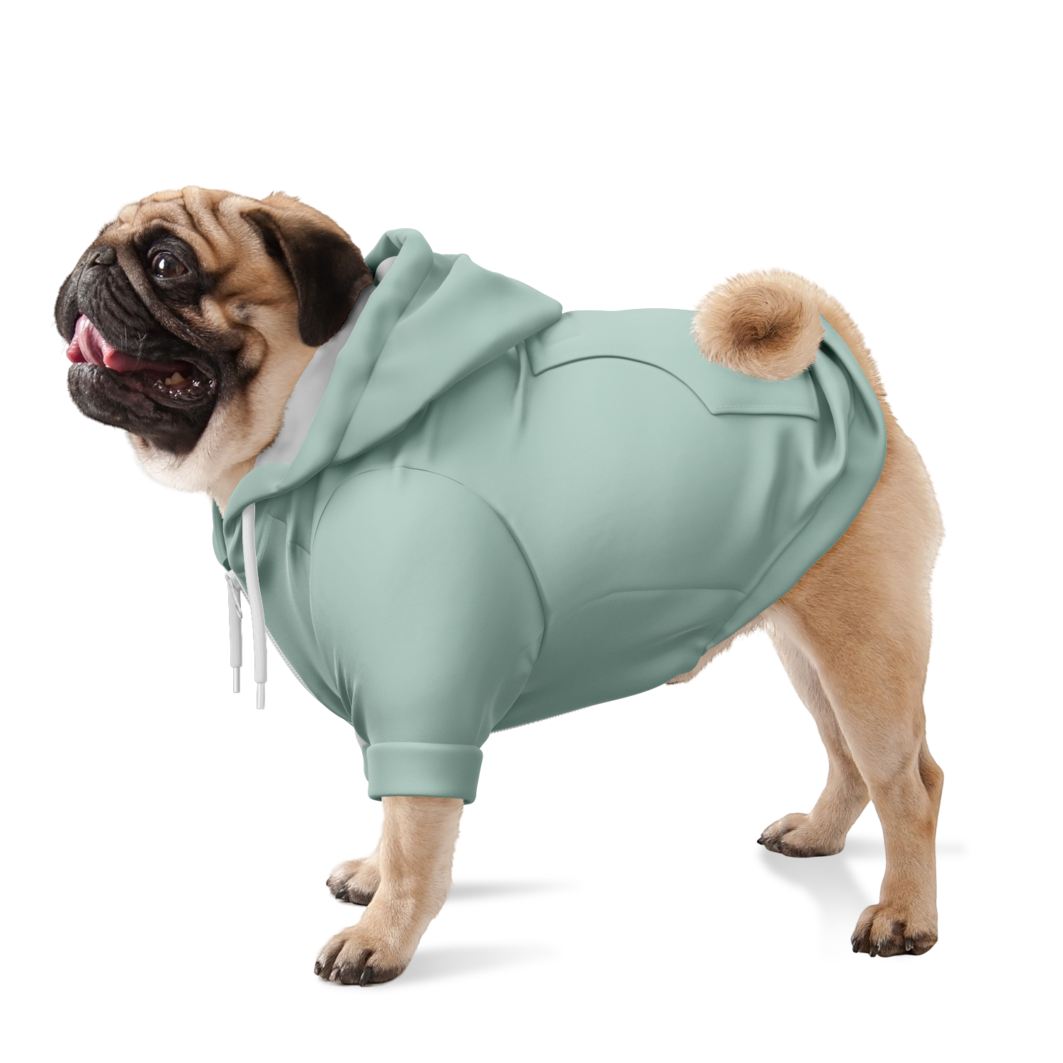Dusty Mint Hund Kapuzenpullover  Hund Kapuzenpullover TwinTails