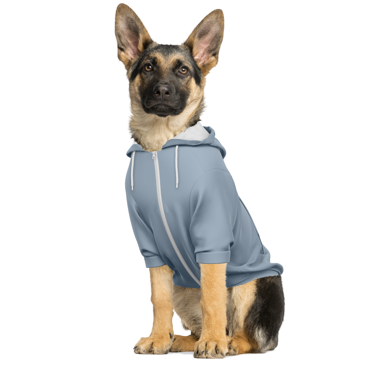 Dusty Blue Hund Kapuzenpullover  Hund Kapuzenpullover TwinTails