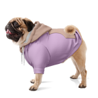 Lavender Latte Hund Kapuzenpullover  Hund Kapuzenpullover TwinTails