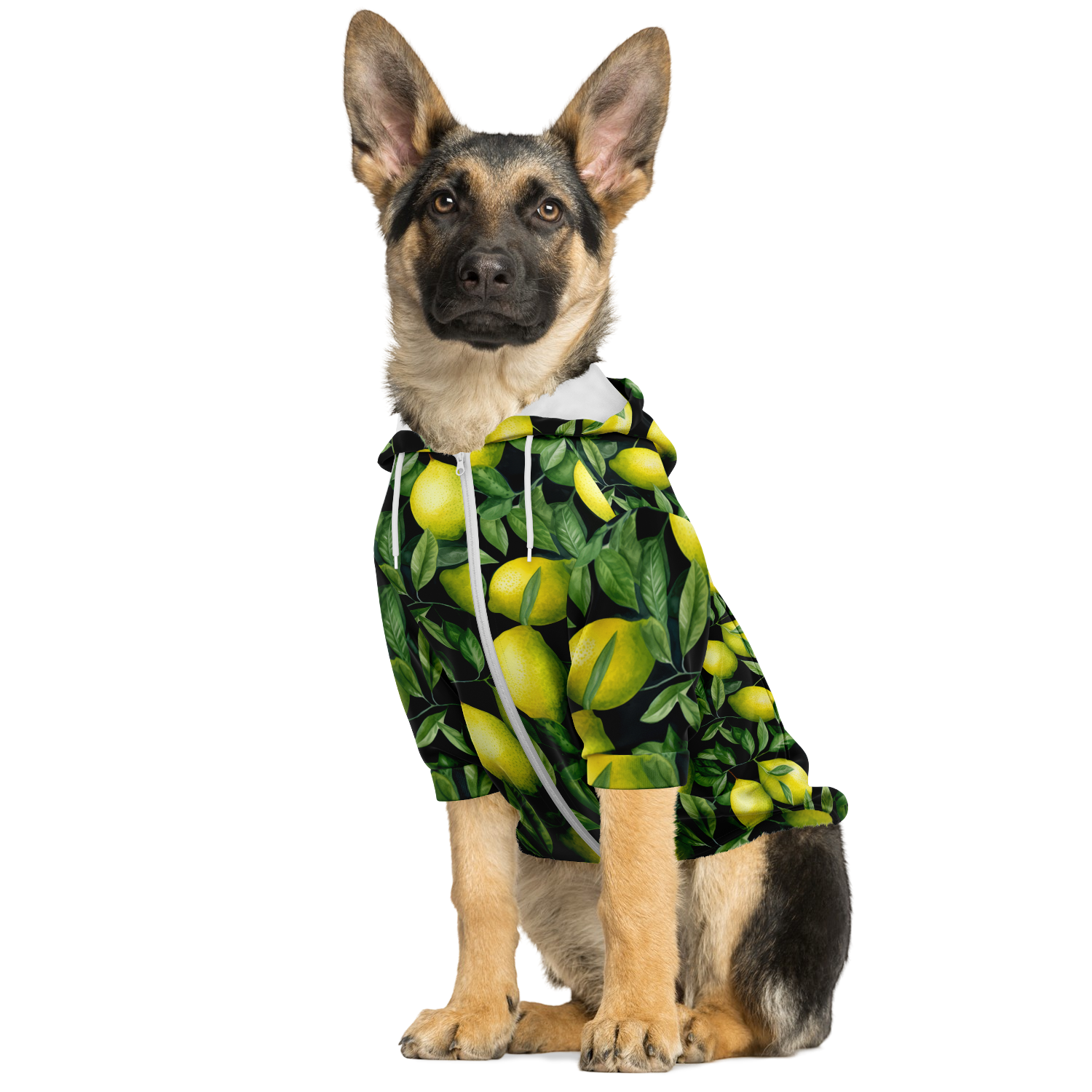 Lemon Hund Kapuzenpullover  Athletic Dog Zip-Up Hoodie - AOP TwinTails