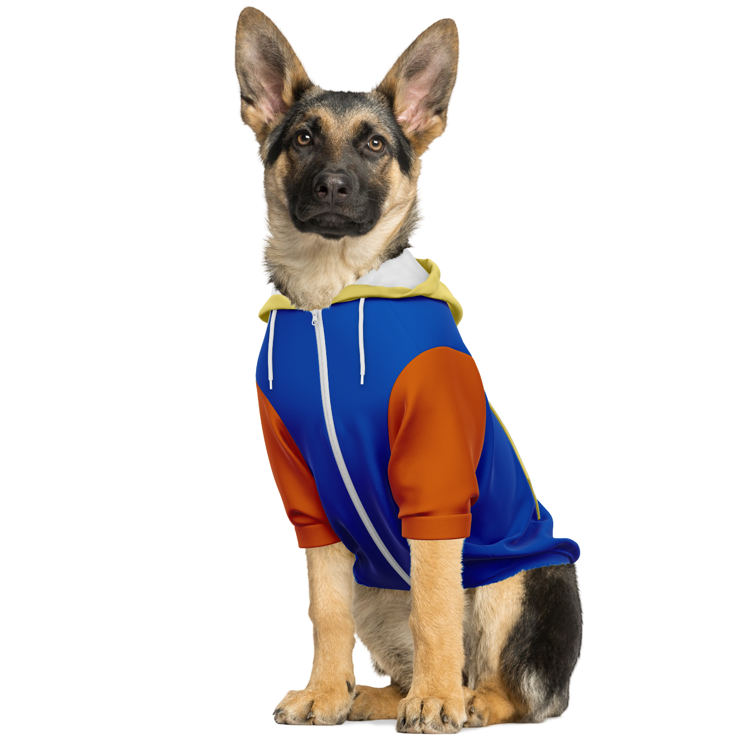 Bold Retro Core Hund Kapuzenpullover  Bold Retro Core Hund Kapuzenpullover TwinTails