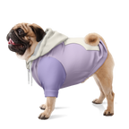Cool Bloom Hund Kapuzenpullover  Cool Bloom Hund Kapuzenpullover TwinTails