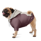 Vintage Shore Hund Kapuzenpullover  Hund Kapuzenpullover TwinTails