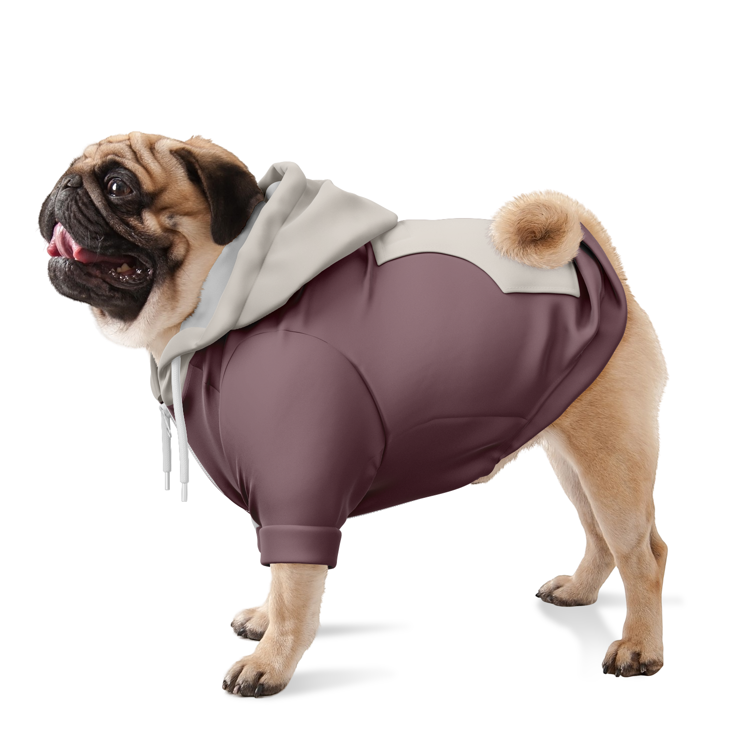 Vintage Shore Hund Kapuzenpullover  Hund Kapuzenpullover TwinTails