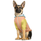 Creamy Sorbet Hund Kapuzenpullover  Creamy Sorbet Hund Kapuzenpullover TwinTails