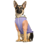 Dusty Lavender Mensch-Hund Kapuzenpullover Set  Dusty Lavender Mensch-Hund Kapuzenpullover Set TwinTails
