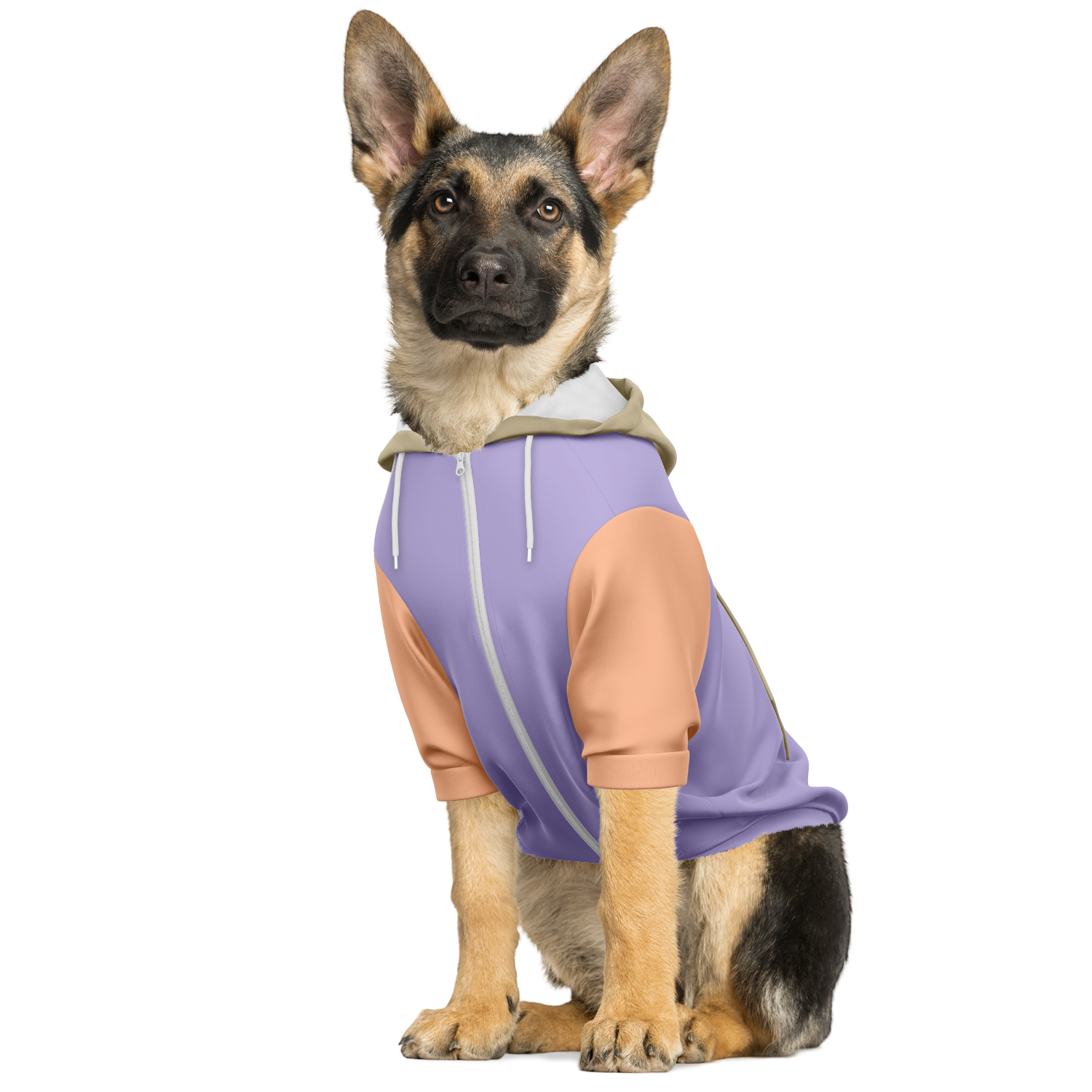 Dusty Lavender Mensch-Hund Kapuzenpullover Set  Dusty Lavender Mensch-Hund Kapuzenpullover Set TwinTails