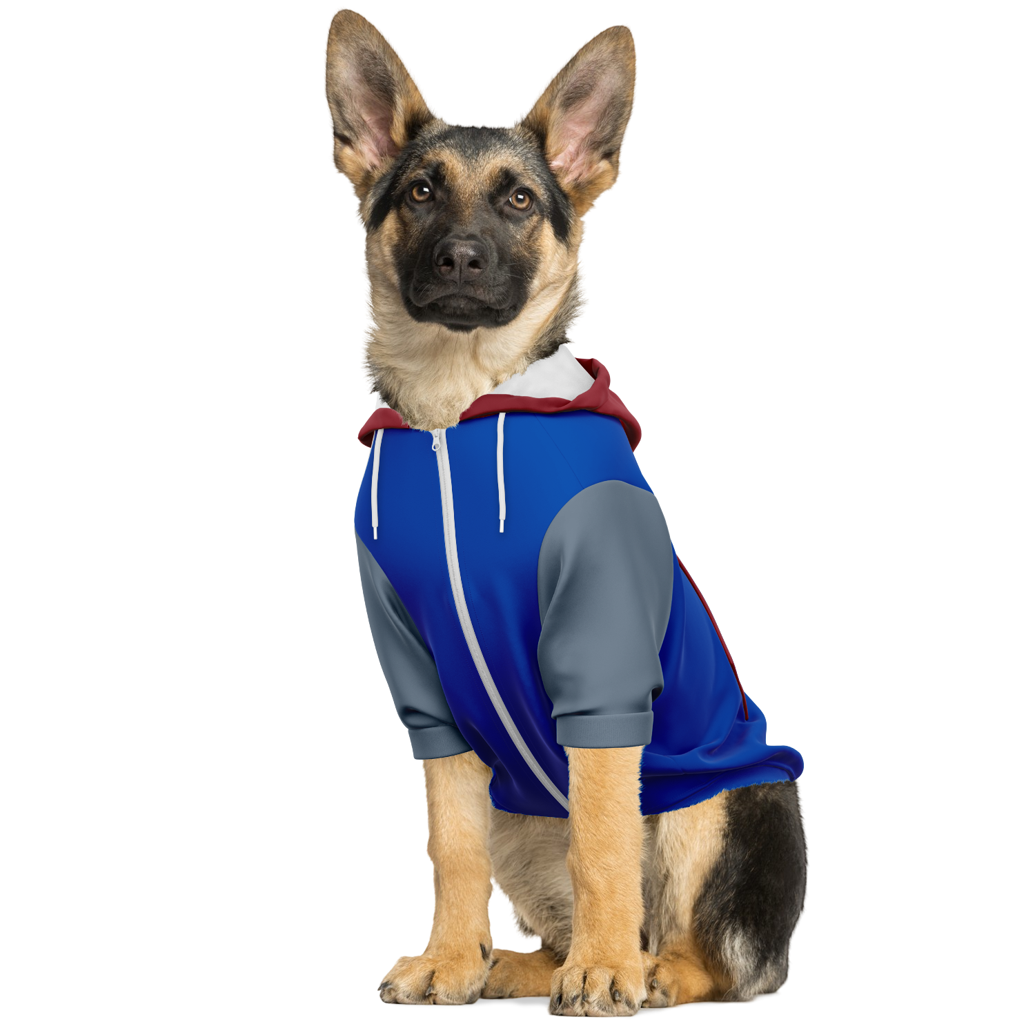 Deep Universe Hund Kapuzenpullover  Deep Universe Hund Kapuzenpullover TwinTails